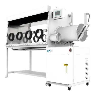 Four-Station Double-Sided Glove Box with Gas Purification System